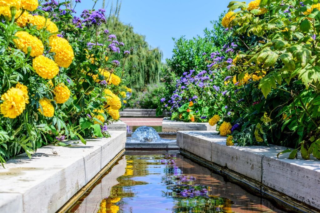 Fountain with beautiful yellow and purple flowers reflecting in the water